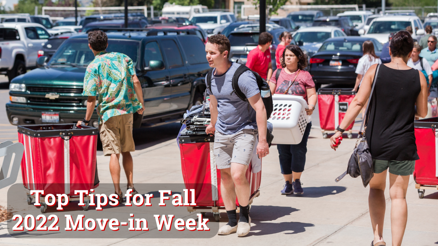 Top Tips for Fall 2022 Movein Week Housing & Residential Education